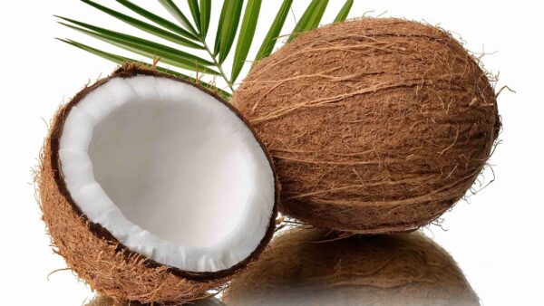 Ghana Coconut